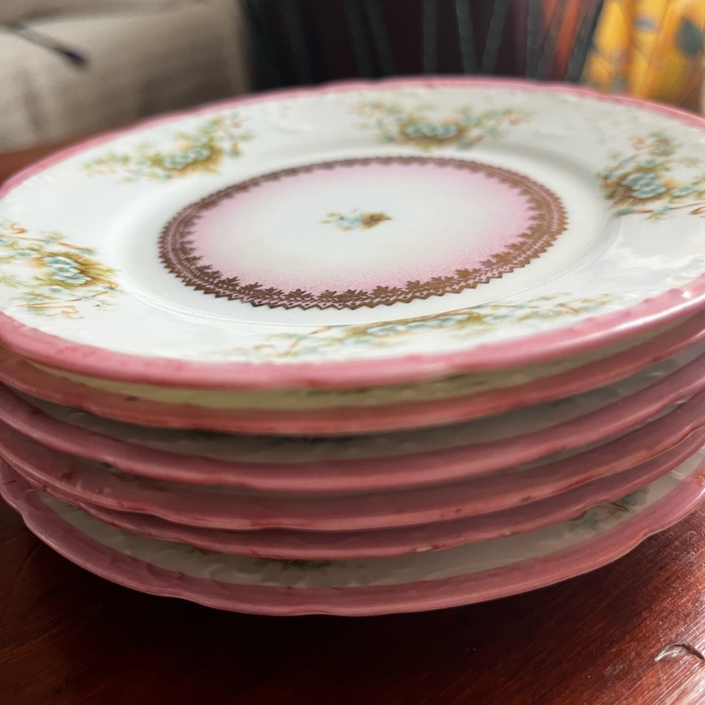Elegant Vintage E. Bowen, Austria. Pink Floral Porcelain Plates. (6)